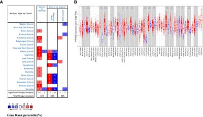 PTP4A3 Is a Prognostic Biomarker Correlated With Immune Infiltrates in Papillary Renal Cell Carcinoma